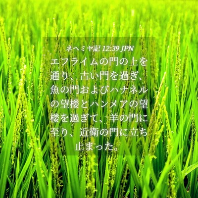 Picture 04 - ネヘミヤ記 12:39 JPN - エフライムの門の上を通り、古い門 - Bible Verse Picture