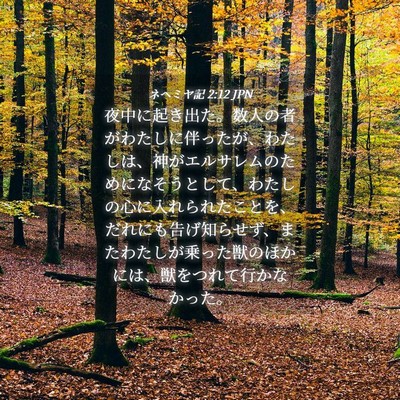 Picture 04 - ネヘミヤ記 2:12 JPN - 夜中に起き出た。数人の者がわたし - Bible Verse Picture