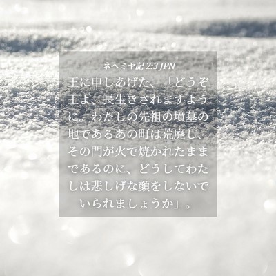Picture 04 - ネヘミヤ記 2:3 JPN - 王に申しあげた、「どうぞ王よ、長 - Bible Verse Picture