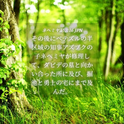 Picture 04 - ネヘミヤ記 3:16 JPN - その後にベテズルの半区域の知事ア - Bible Verse Picture
