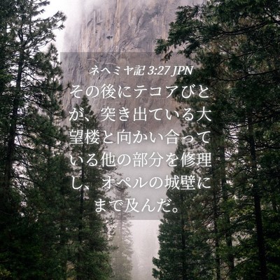 Picture 04 - ネヘミヤ記 3:27 JPN - その後にテコアびとが、突き出てい - Bible Verse Picture