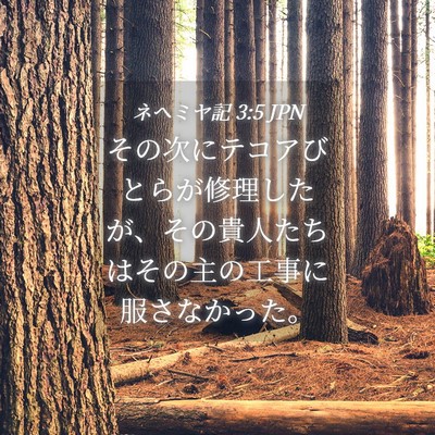 Picture 04 - ネヘミヤ記 3:5 JPN - その次にテコアびとらが修理したが - Bible Verse Picture