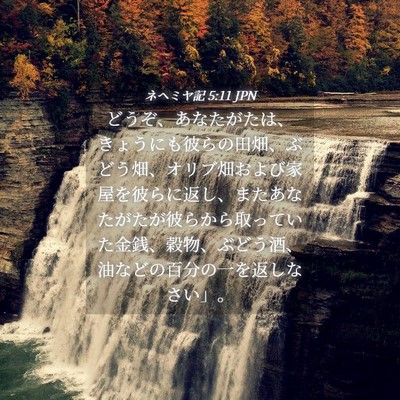 Picture 04 - ネヘミヤ記 5:11 JPN - どうぞ、あなたがたは、きょうにも - Bible Verse Picture