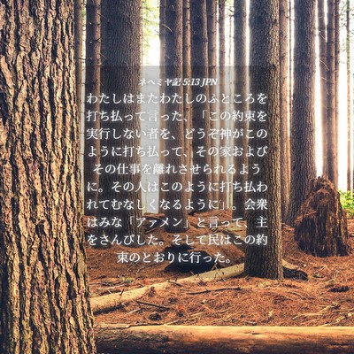 Picture 04 - ネヘミヤ記 5:13 JPN - わたしはまたわたしのふところを打 - Bible Verse Picture
