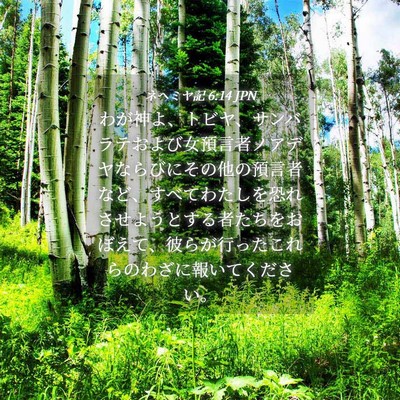 Picture 04 - ネヘミヤ記 6:14 JPN - わが神よ、トビヤ、サンバラテおよ - Bible Verse Picture