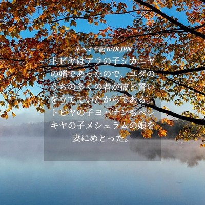 Picture 04 - ネヘミヤ記 6:18 JPN - トビヤはアラの子シカニヤの婿であ - Bible Verse Picture