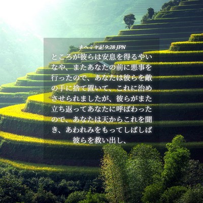 Picture 04 - ネヘミヤ記 9:28 JPN - ところが彼らは安息を得るやいなや - Bible Verse Picture