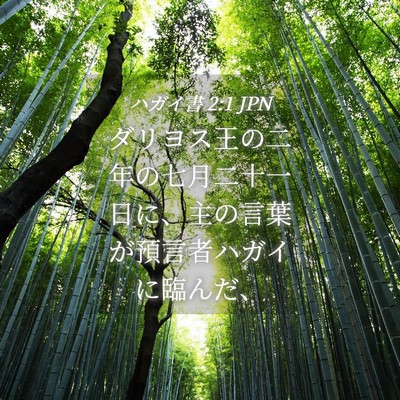 Picture 04 - ハガイ書 2:1 JPN - ダリヨス王の二年の七月二十一日に - Bible Verse Picture