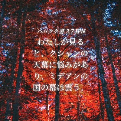 Picture 04 - ハバクク書 3:7 JPN - わたしが見ると、クシャンの天幕に - Bible Verse Picture