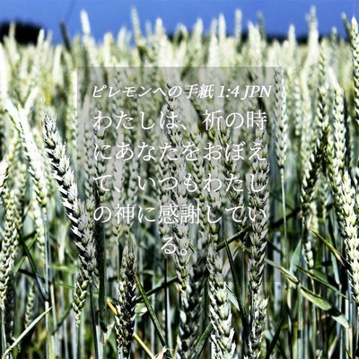 Picture 04 - ピレモンヘの手紙 1:4 JPN - わたしは、祈の時にあなたをおぼえ - Bible Verse Picture