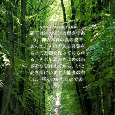 Picture 04 - ヘブル人への手紙 1:3 JPN - 御子は神の栄光の輝きであり、神の - Bible Verse Picture