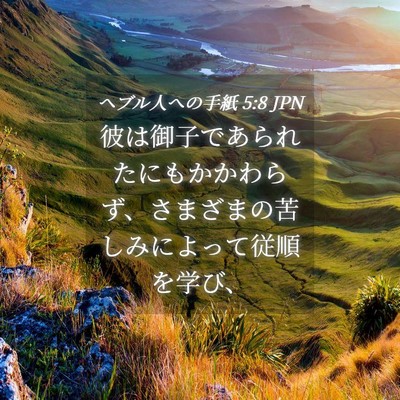 Picture 04 - ヘブル人への手紙 5:8 JPN - 彼は御子であられたにもかかわらず - Bible Verse Picture