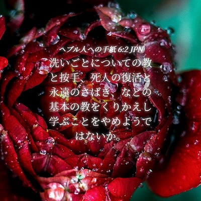 Picture 04 - ヘブル人への手紙 6:2 JPN - 洗いごとについての教と按手、死人 - Bible Verse Picture