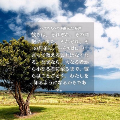 Picture 04 - ヘブル人への手紙 8:11 JPN - 彼らは、それぞれ、その同胞に、ま - Bible Verse Picture