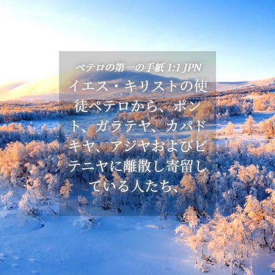 Picture 04 - ペテロの第一の手紙 1:1 JPN - イエス・キリストの使徒ペテロから - Bible Verse Picture