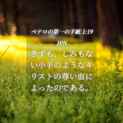 Picture 04 - ペテロの第一の手紙 1:19 JPN - きずも、しみもない小羊のようなキ - Bible Verse Picture
