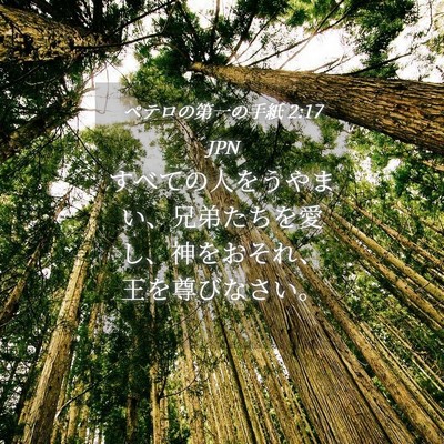 Picture 04 - ペテロの第一の手紙 2:17 JPN - すべての人をうやまい、兄弟たちを - Bible Verse Picture