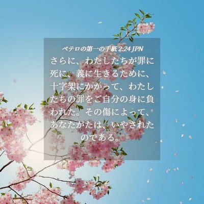 Picture 04 - ペテロの第一の手紙 2:24 JPN - さらに、わたしたちが罪に死に、義 - Bible Verse Picture