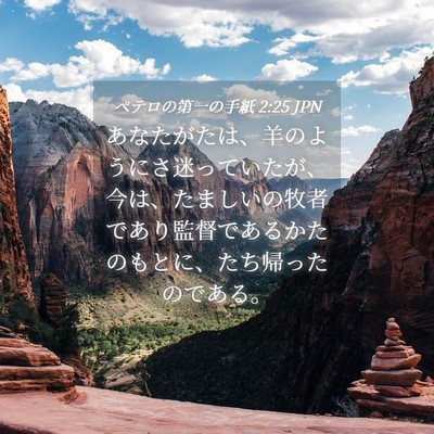 Picture 04 - ペテロの第一の手紙 2:25 JPN - あなたがたは、羊のようにさ迷って - Bible Verse Picture