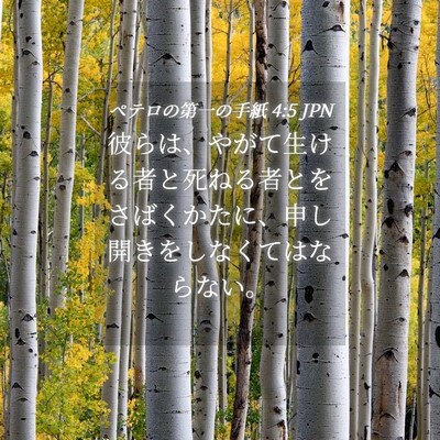 Picture 04 - ペテロの第一の手紙 4:5 JPN - 彼らは、やがて生ける者と死ねる者 - Bible Verse Picture