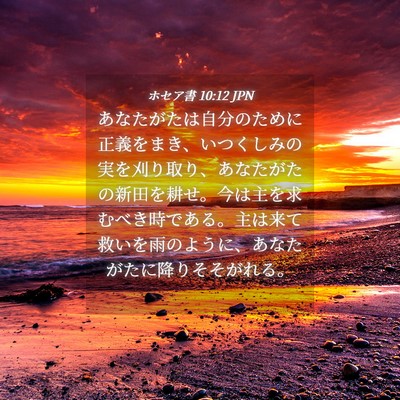 Picture 04 - ホセア書 10:12 JPN - あなたがたは自分のために正義をま - Bible Verse Picture