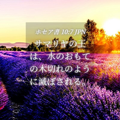 Picture 04 - ホセア書 10:7 JPN - サマリヤの王は、水のおもての木切 - Bible Verse Picture