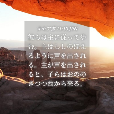 Picture 04 - ホセア書 11:10 JPN - 彼らは主に従って歩む。主はししの - Bible Verse Picture