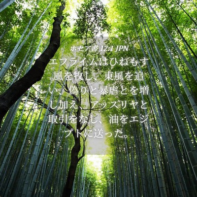 Picture 04 - ホセア書 12:1 JPN - エフライムはひねもす風を牧し、東 - Bible Verse Picture