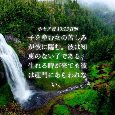 Picture 04 - ホセア書 13:13 JPN - 子を産む女の苦しみが彼に臨む。彼 - Bible Verse Picture