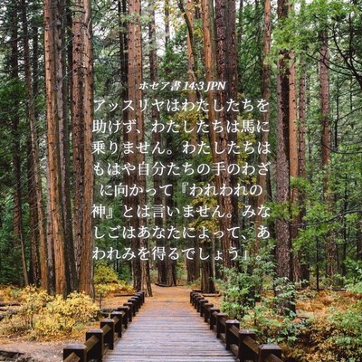 Picture 04 - ホセア書 14:3 JPN - アッスリヤはわたしたちを助けず、 - Bible Verse Picture