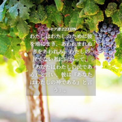Picture 04 - ホセア書 2:23 JPN - わたしはわたしのために彼を地にま - Bible Verse Picture