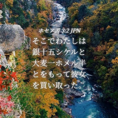 Picture 04 - ホセア書 3:2 JPN - そこでわたしは銀十五シケルと大麦 - Bible Verse Picture