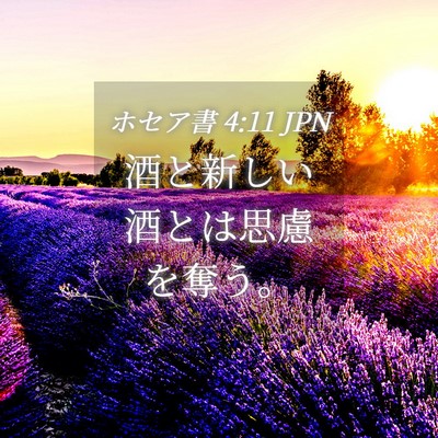 Picture 04 - ホセア書 4:11 JPN - 酒と新しい酒とは思慮を奪う。 - Bible Verse Picture