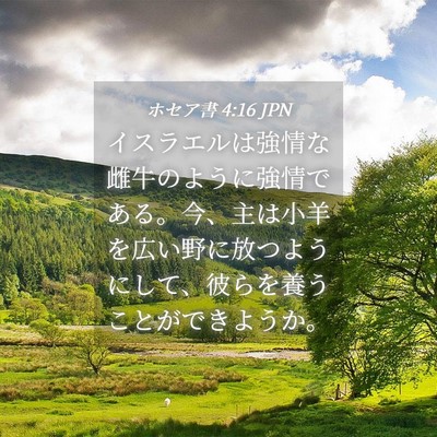 Picture 04 - ホセア書 4:16 JPN - イスラエルは強情な雌牛のように強 - Bible Verse Picture