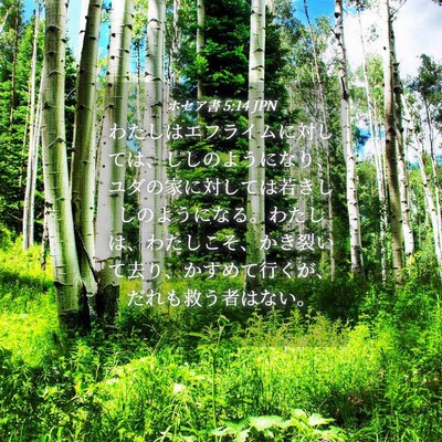 Picture 04 - ホセア書 5:14 JPN - わたしはエフライムに対しては、し - Bible Verse Picture