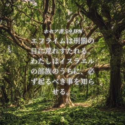 Picture 04 - ホセア書 5:9 JPN - エフライムは刑罰の日に荒れすたれ - Bible Verse Picture