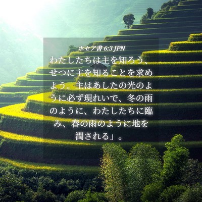 Picture 04 - ホセア書 6:3 JPN - わたしたちは主を知ろう、せつに主 - Bible Verse Picture