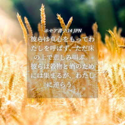 Picture 04 - ホセア書 7:14 JPN - 彼らは真心をもってわたしを呼ばず - Bible Verse Picture