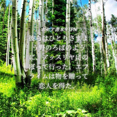 Picture 04 - ホセア書 8:9 JPN - 彼らはひとりさまよう野のろばのよ - Bible Verse Picture