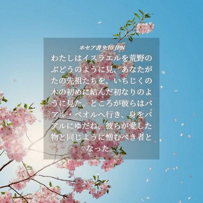 Picture 04 - ホセア書 9:10 JPN - わたしはイスラエルを荒野のぶどう - Bible Verse Picture