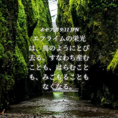 Picture 04 - ホセア書 9:11 JPN - エフライムの栄光は、鳥のようにと - Bible Verse Picture