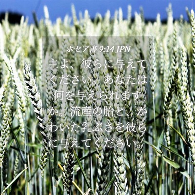 Picture 04 - ホセア書 9:14 JPN - 主よ、彼らに与えてください。あな - Bible Verse Picture