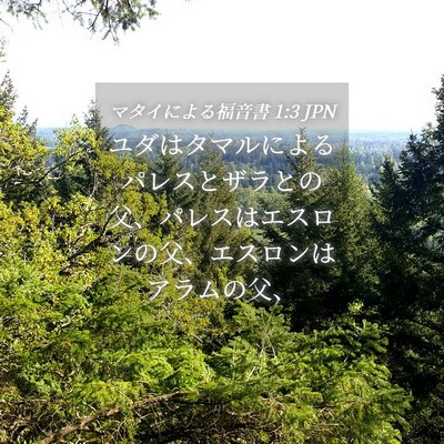 Picture 04 - マタイによる福音書 1:3 JPN - ユダはタマルによるパレスとザラと - Bible Verse Picture