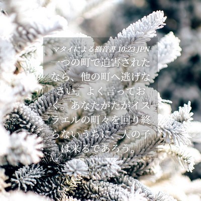 Picture 04 - マタイによる福音書 10:23 JPN - 一つの町で迫害されたなら、他の町 - Bible Verse Picture