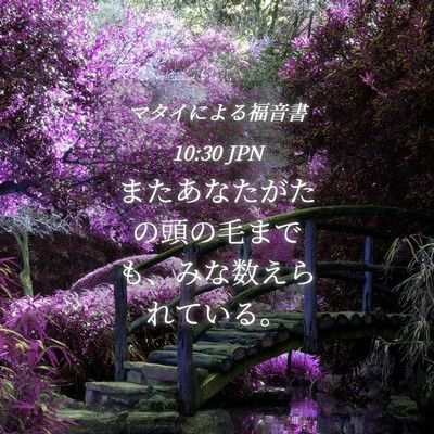 Picture 04 - マタイによる福音書 10:30 JPN - またあなたがたの頭の毛までも、み - Bible Verse Picture