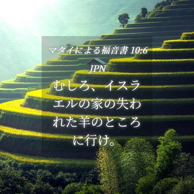 Picture 04 - マタイによる福音書 10:6 JPN - むしろ、イスラエルの家の失われた - Bible Verse Picture