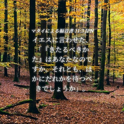 Picture 04 - マタイによる福音書 11:3 JPN - イエスに言わせた、「『きたるべき - Bible Verse Picture