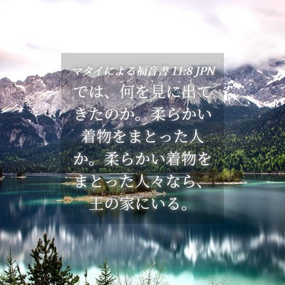 Picture 04 - マタイによる福音書 11:8 JPN - では、何を見に出てきたのか。柔ら - Bible Verse Picture