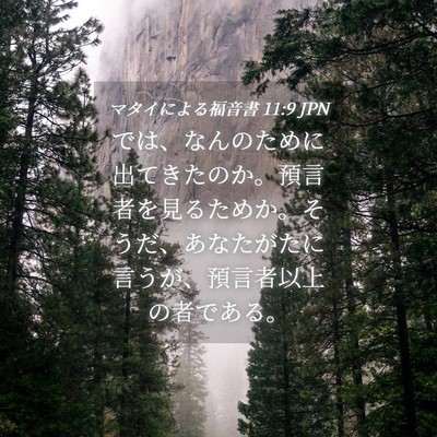 Picture 04 - マタイによる福音書 11:9 JPN - では、なんのために出てきたのか。 - Bible Verse Picture