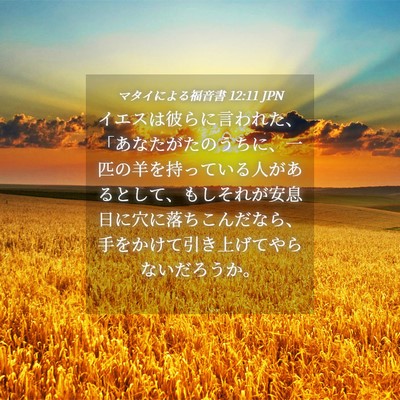 Picture 04 - マタイによる福音書 12:11 JPN - イエスは彼らに言われた、「あなた - Bible Verse Picture